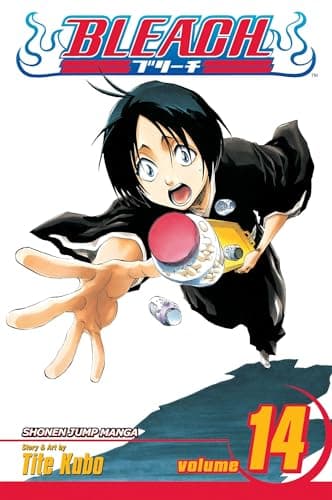Bleach, Volume 14 poster