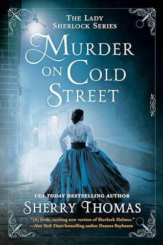 Murder on Cold Street poster