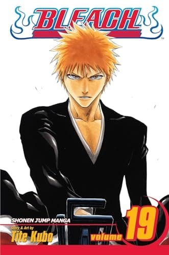 Bleach, Volume 19 poster
