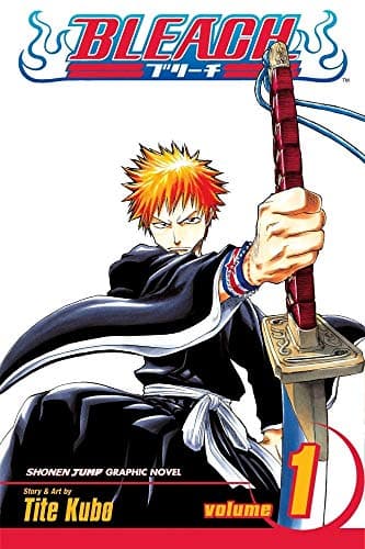 Bleach, Vol. 1: Strawberry and the Soul Reapers poster