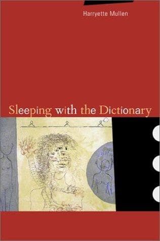 Sleeping With the Dictionary poster