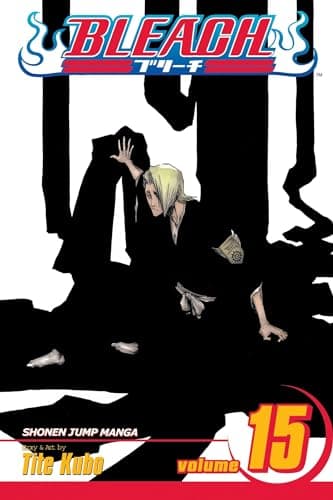 Bleach, Volume 15 poster