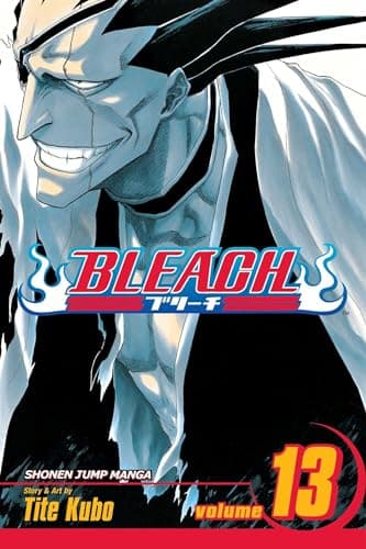 Bleach, Volume 13 poster