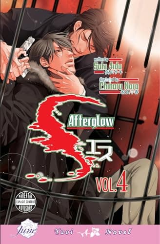 S, Vol. 4: Afterglow poster