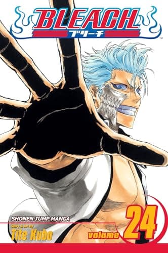 Bleach, Volume 24 poster