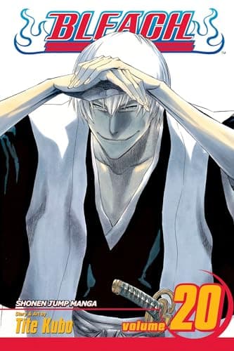 Bleach, Volume 20 poster