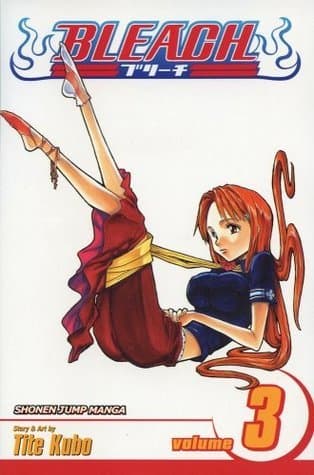 Bleach, Vol. 3: Memories in the Rain poster