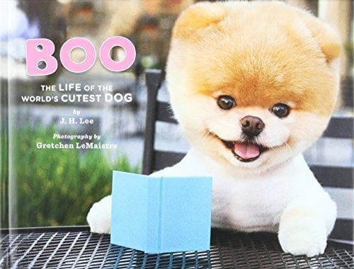 Boo poster