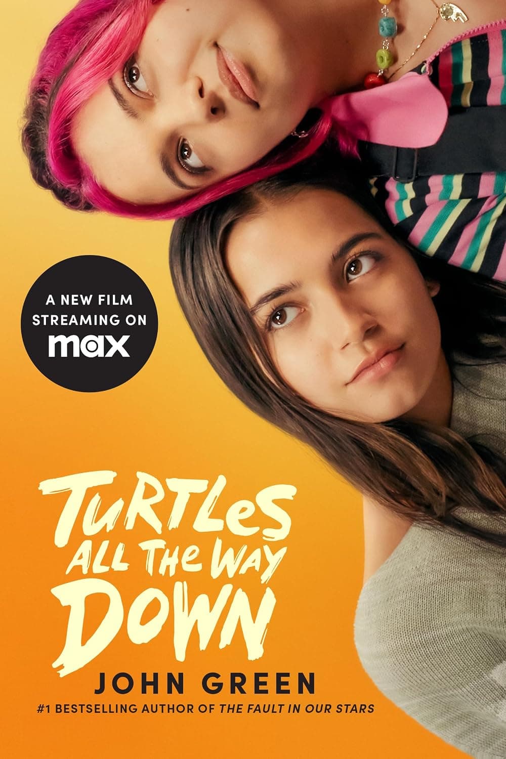 Turtles All the Way Down poster