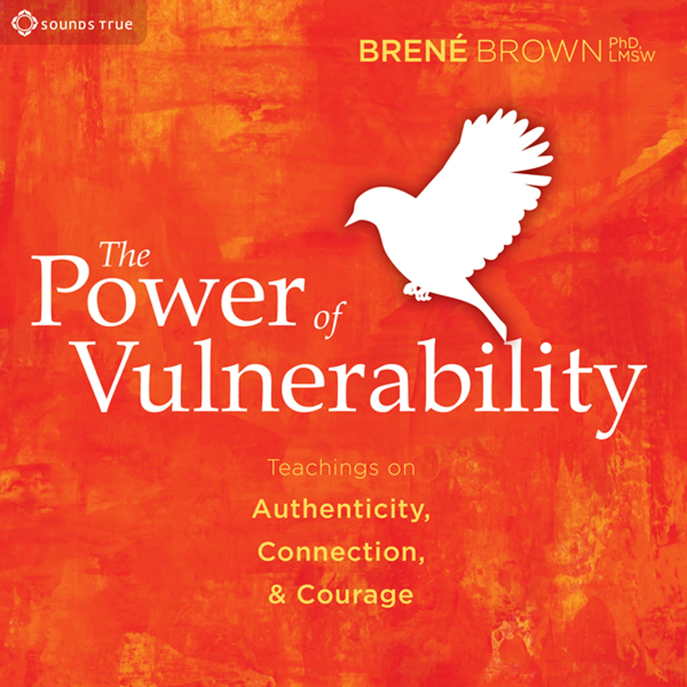The Power of Vulnerability: Teachings of Authenticity, Connections and Courage poster