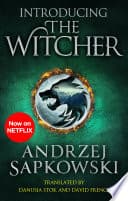 Introducing The Witcher poster