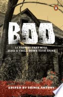 Boo poster