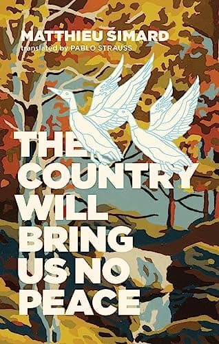 The Country Will Bring Us No Peace poster