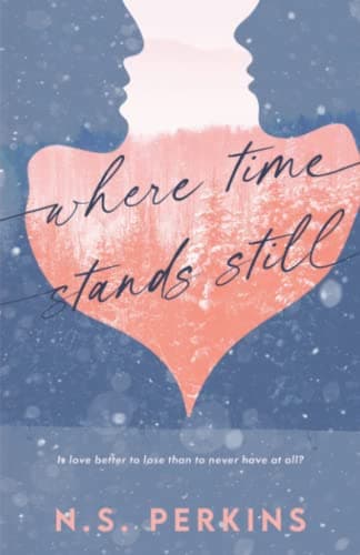 Where Time Stands Still poster