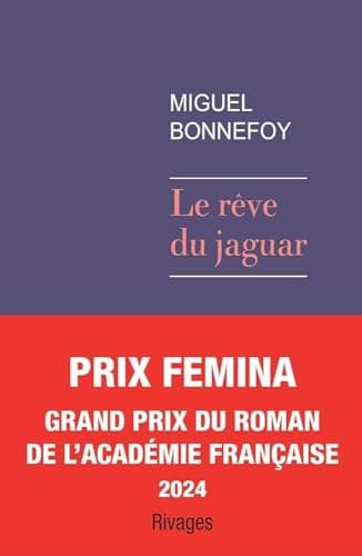 Le rêve du jaguar poster