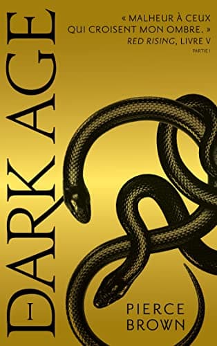 Dark Age - Partie 1 poster