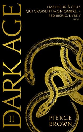 Dark Age - Partie 2 poster