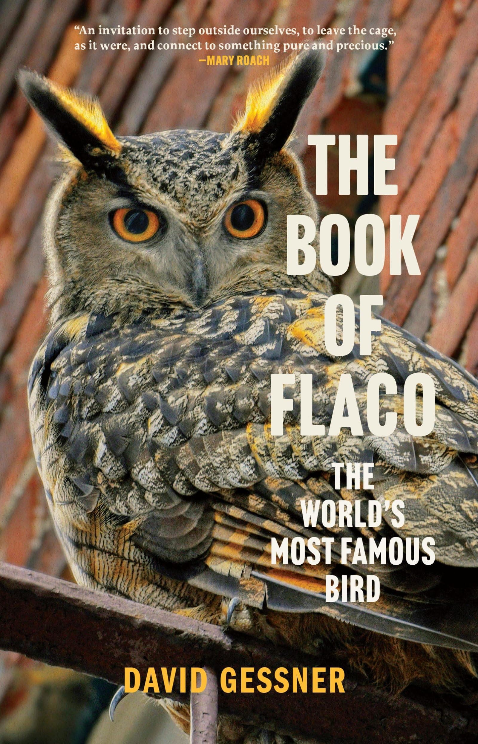 The Book of Flaco: The World's Most Famous Bird poster
