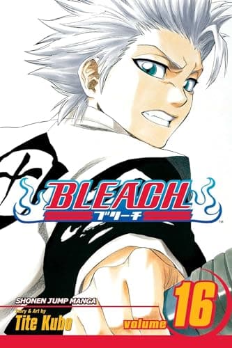 Bleach, Volume 16 poster