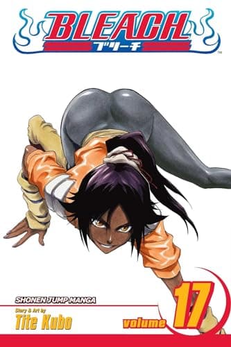 Bleach, Volume 17 poster