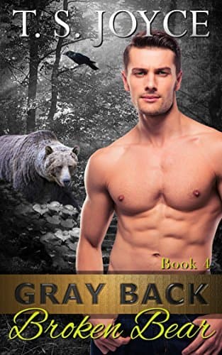 Gray Back Broken Bear poster