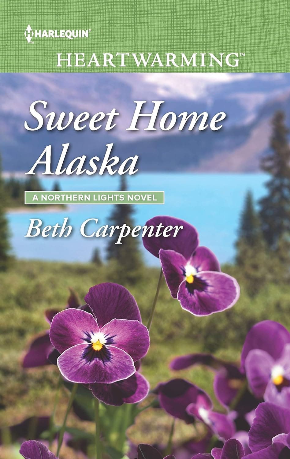 Sweet Home Alaska poster