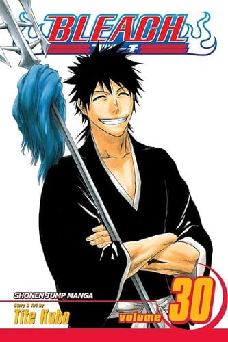 Bleach poster