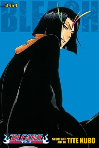 Bleach poster