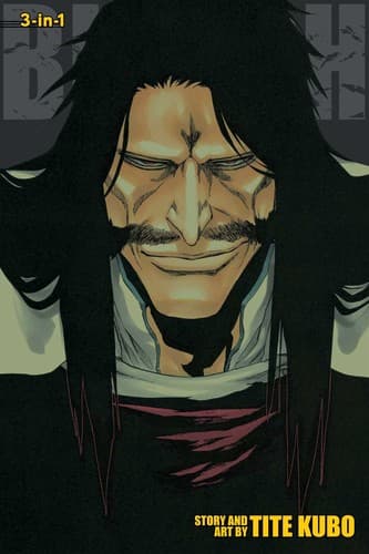 Bleach poster