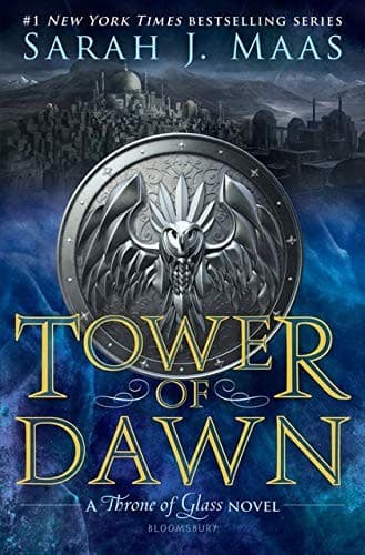 Tower of Dawn poster