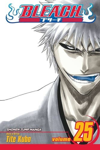 Bleach, Volume 25 poster