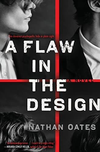 A Flaw in the Design poster
