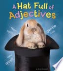 A Hat Full of Adjectives poster