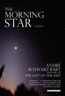 Morning Star poster