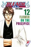 Bleach 12: FLOWER ON THE PRECIPICE poster