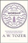 Worship: The Reason We Were Created-Collected Insights from A. W. Tozer poster
