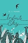 Infinite Sky poster
