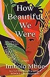 How Beautiful We Were poster