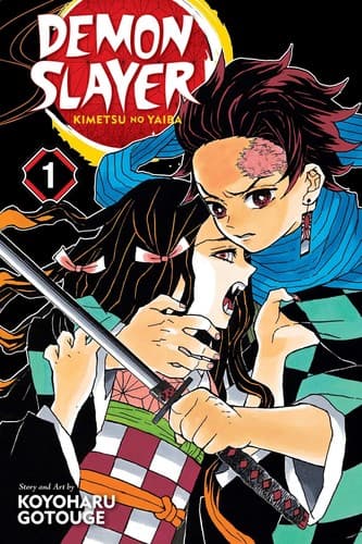Demon Slayer: Kimetsu no Yaiba, Vol. 1 poster