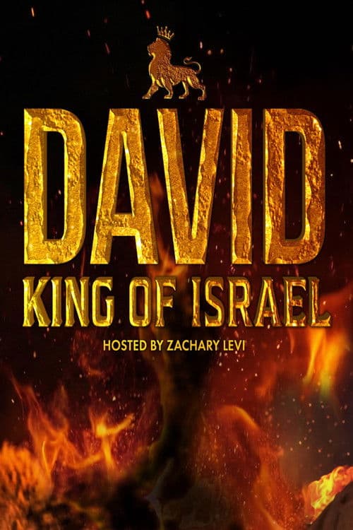 David: King of Israel poster