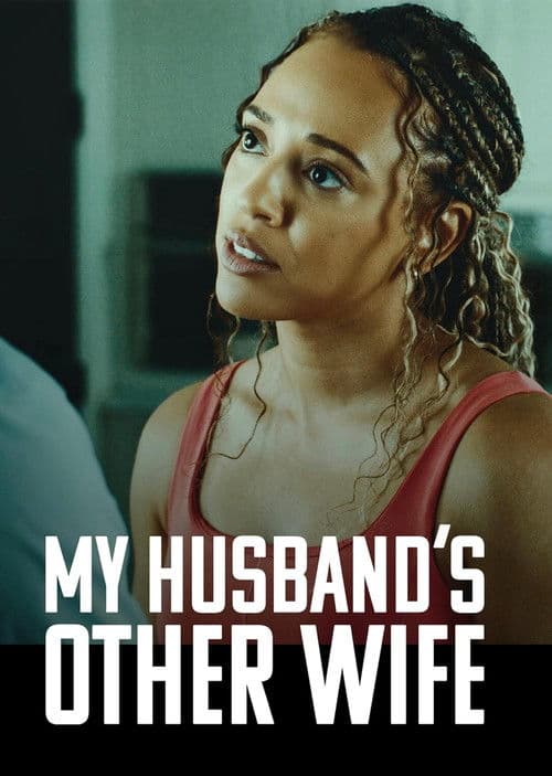 My Husband's Other Wife poster