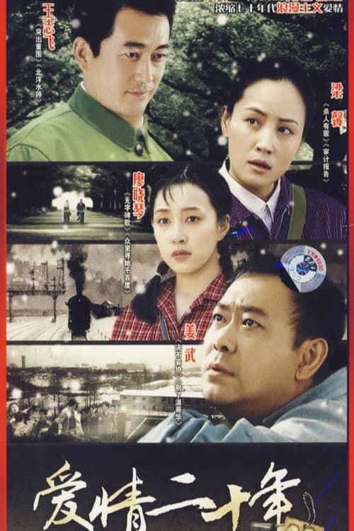 爱情二十年 poster