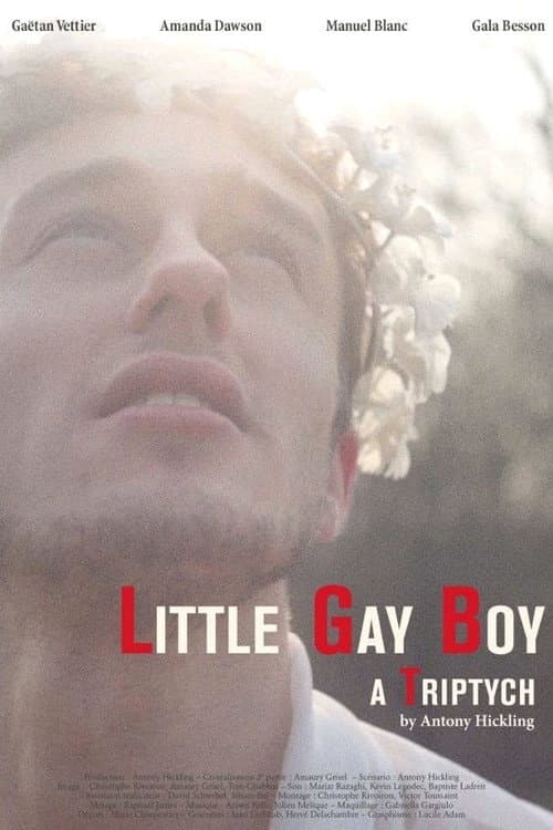 Little Gay Boy poster