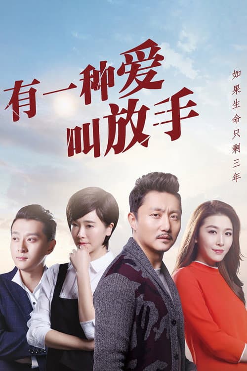 有一种爱叫放手 poster