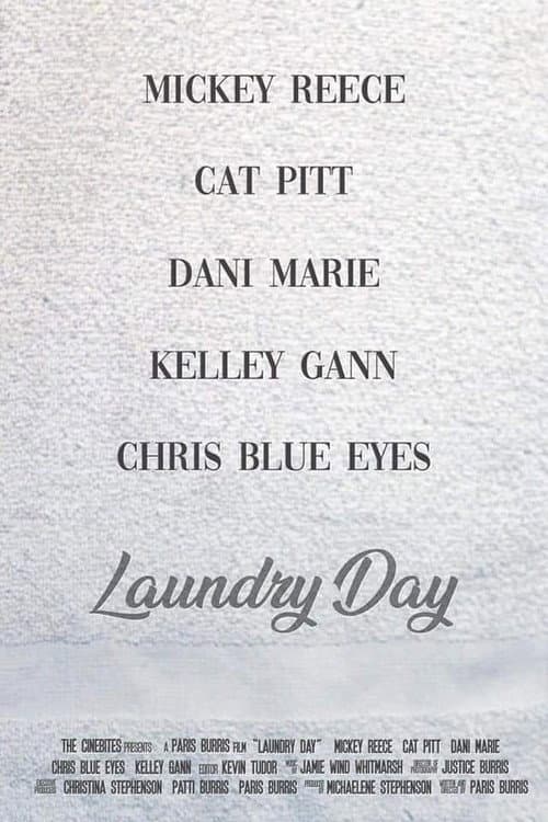 Laundry Day poster
