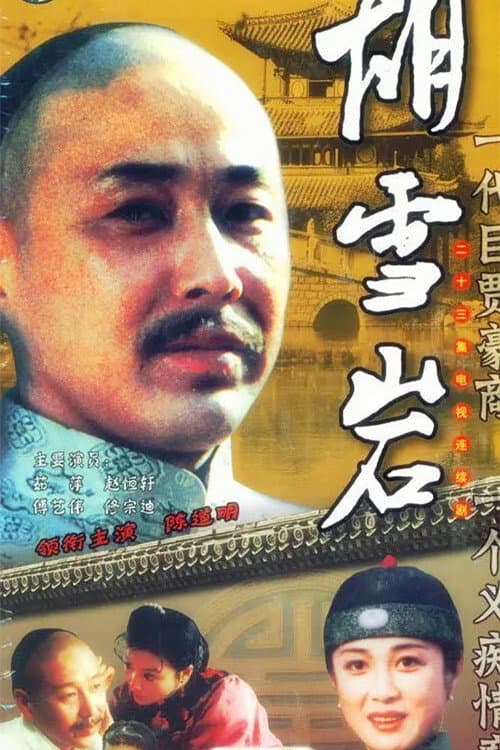 胡雪岩 poster