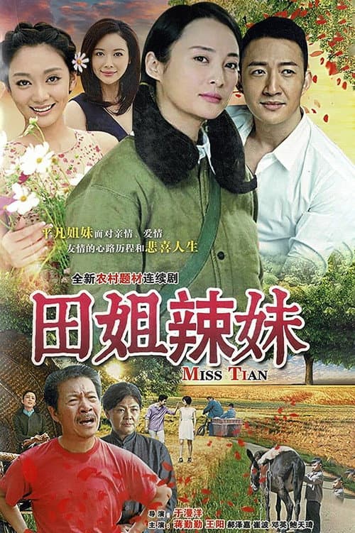 Hot Sister Tian poster