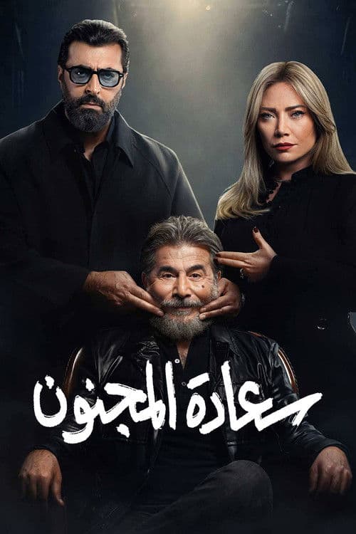 His Excellency the Madman poster