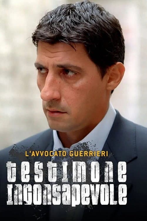 L'avvocato Guerrieri poster