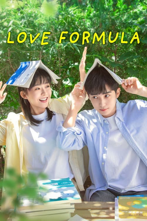Love Formula poster
